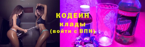 ешки Ельня