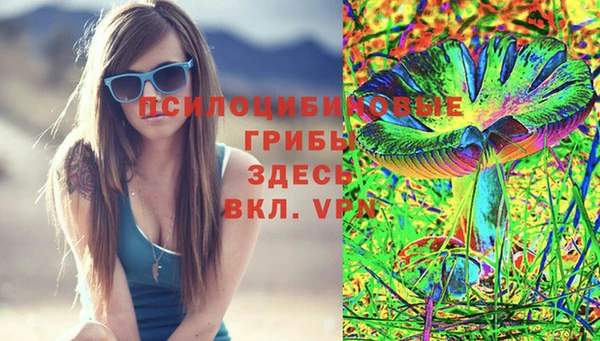 ешки Ельня