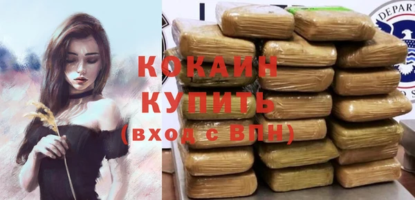 ешки Ельня
