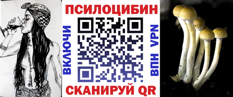 Купить где  Мосальск  Псилоцибиновые грибы ЛСД 